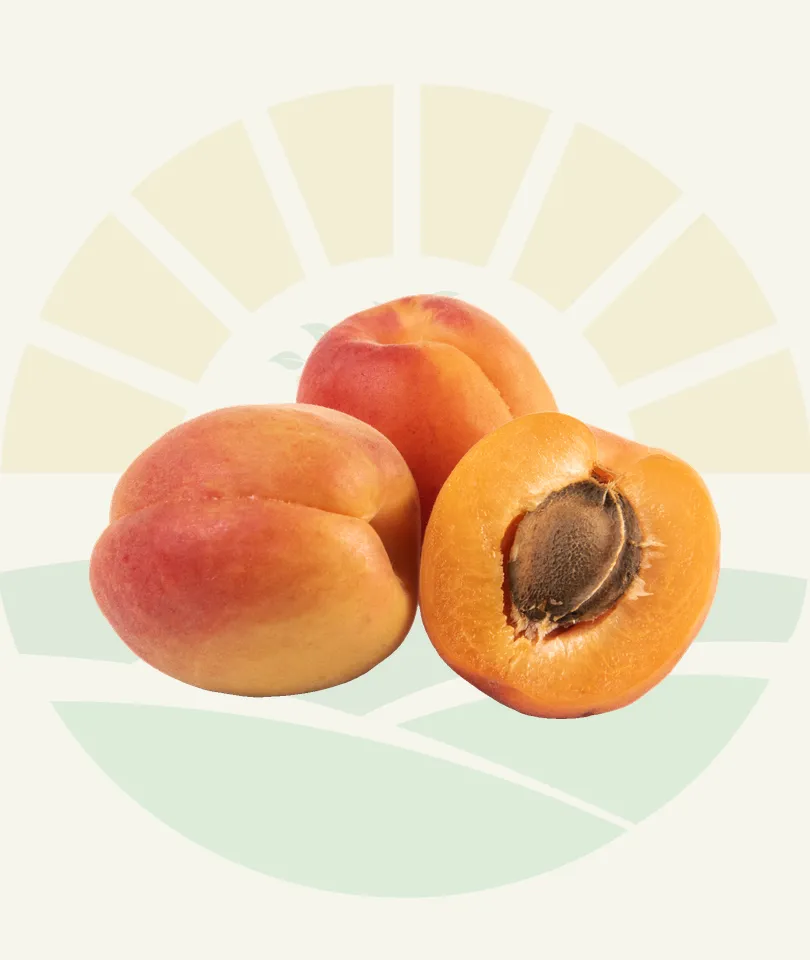 Apricots