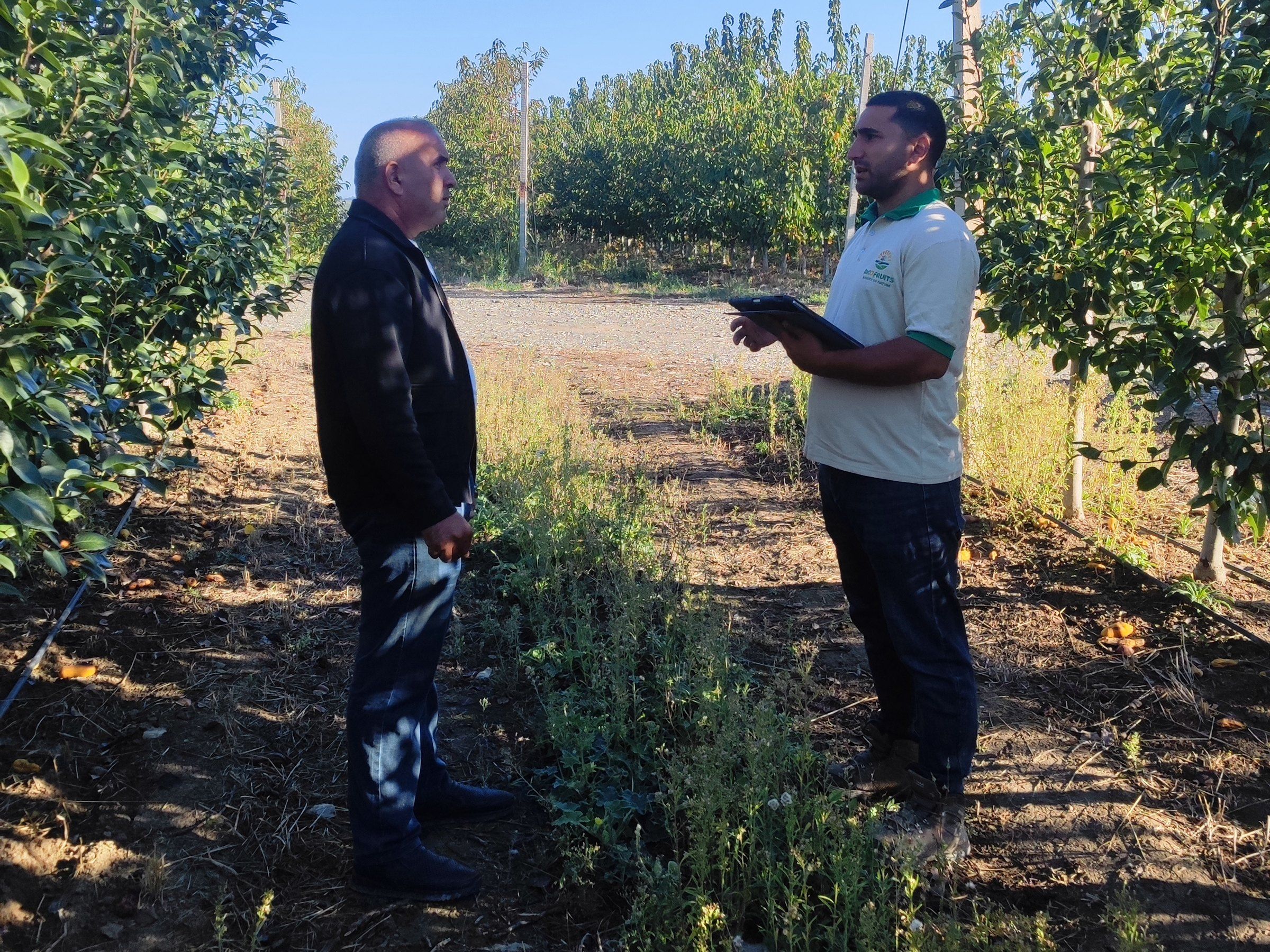 An Akofruits specialist talks with a partner grower in the orchard